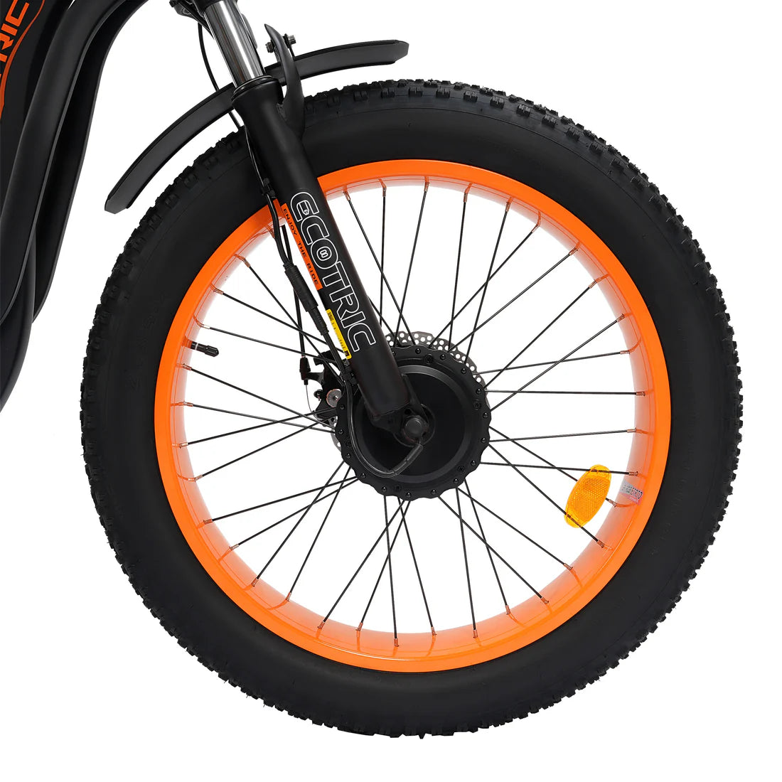 Ecotric 48V Tricycle electric bike