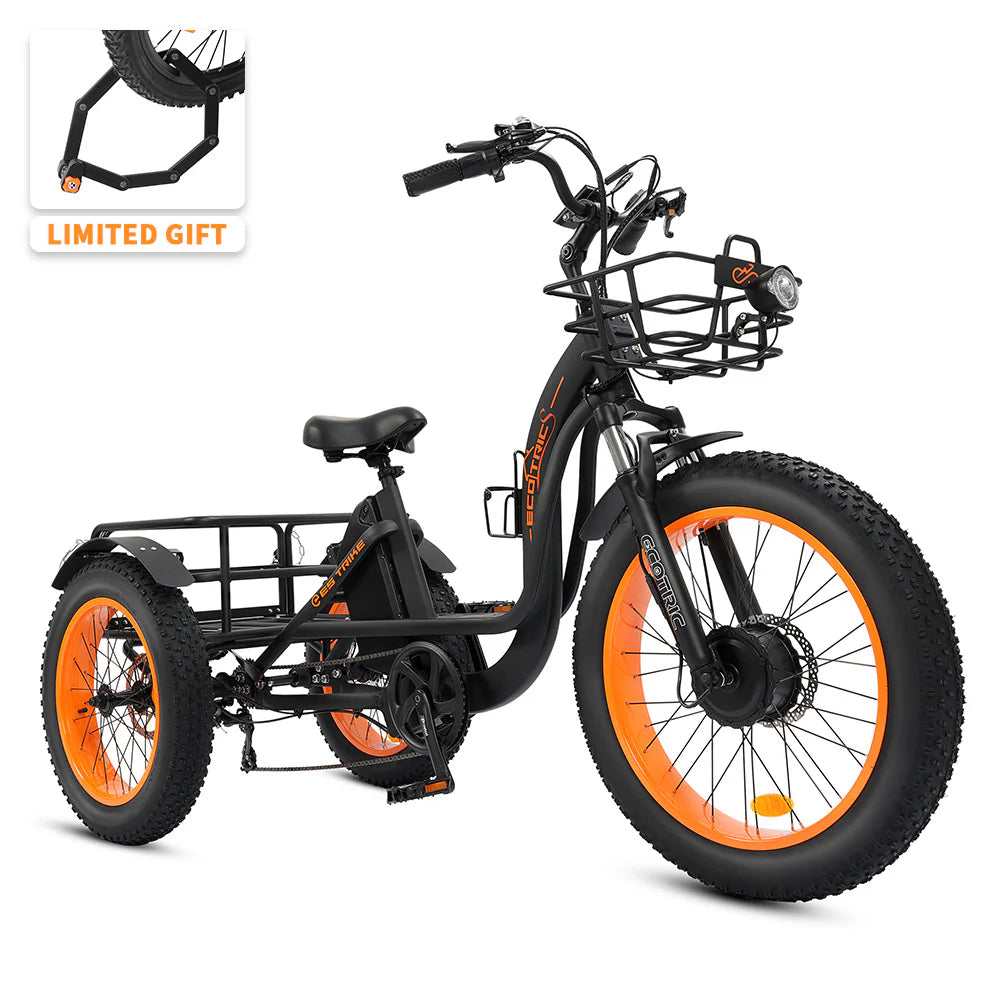 Ecotric 48V Tricycle electric bike