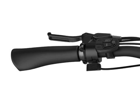 ePulse Digistore