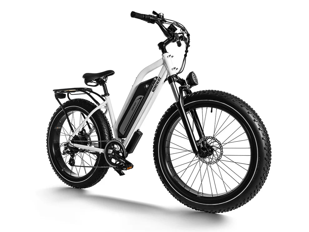 Himiway D3 ST (Cruiser ST) | D3 ST | All Terrain Step Thru Electric Bike