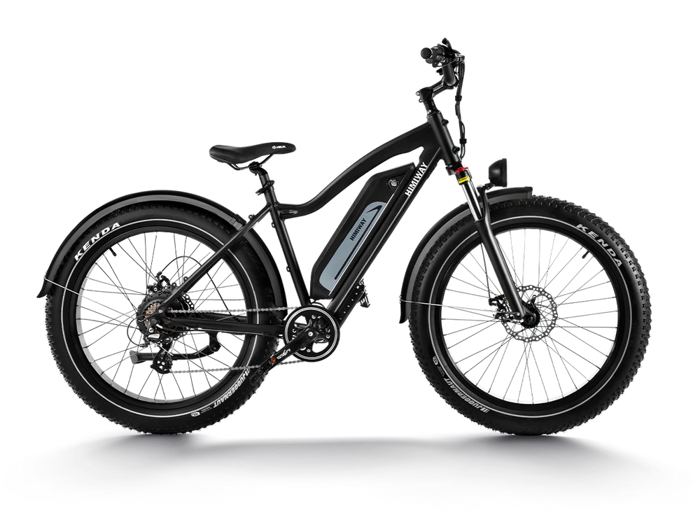 Himiway D3 (Cruiser) | Long Range Fat Tire Electric Bike