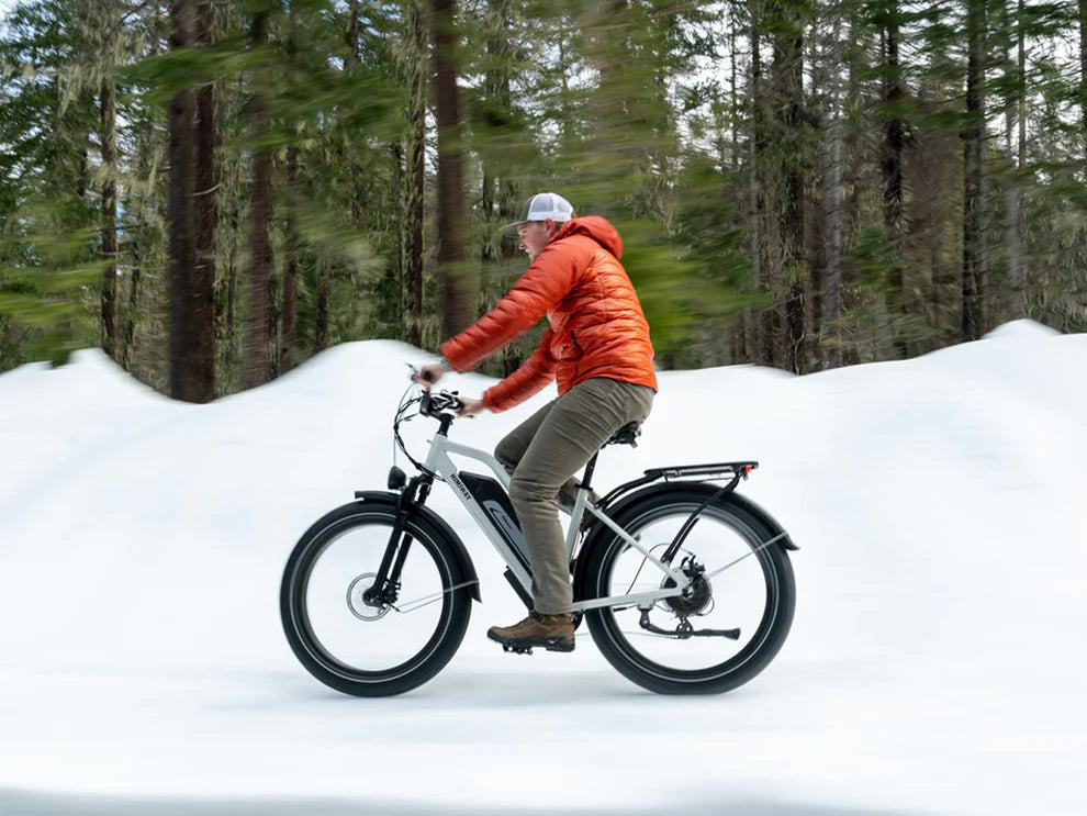 Himiway D3 ST (Cruiser ST) | D3 ST | All Terrain Step Thru Electric Bike