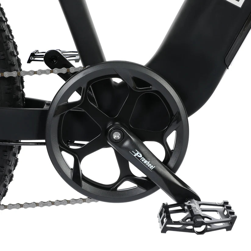 Ecotric Explorer 26 inches 48V Fat Tire e-bike with Rear Rack