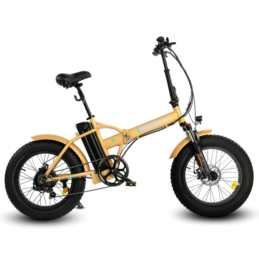 Ecotric 48V portable and folding fat ebike with LCD display